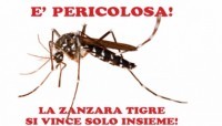zanzara-tigre_medium